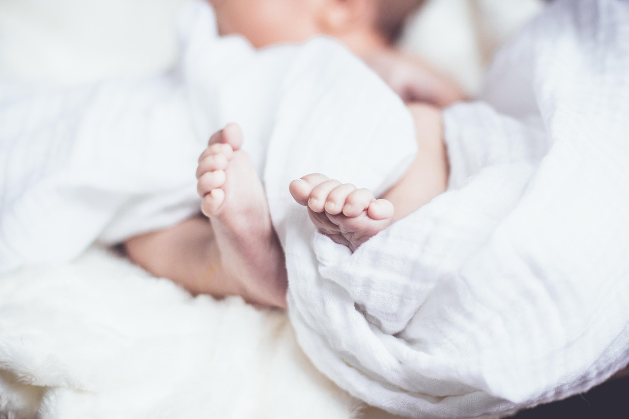 baby, baby feet, bed, blanket, child, little, newborn, small, small feet, newborn baby, baby, baby, baby, baby, baby, newborn-1866623.jpg